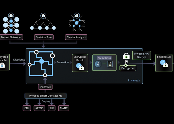 MT Capital 研报：Privasea，将全同态加密引入Mass Adoption